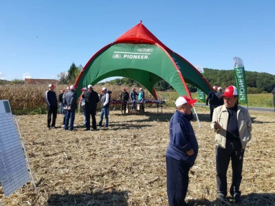 Dan polja kukuruza Pioneer u Španatu