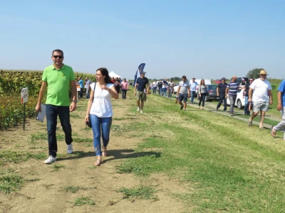 Dan polja kukuruza, soje i suncokreta.