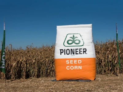 Dan polja Pioneer hibrida