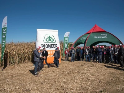 Dan polja Pioneer hibrida