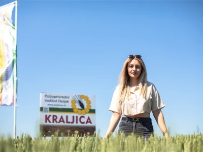 Dan polja pšenice i ječma na Poljoprivrednom institutu Osijek
