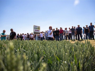 Dan polja pšenice i ječma na Poljoprivrednom institutu Osijek