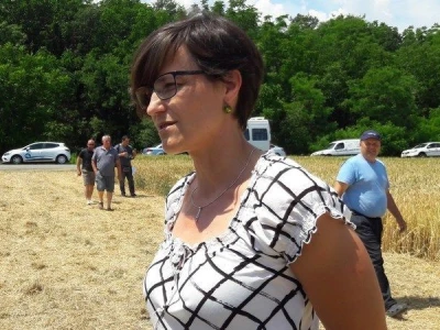 Dan polja strnih žitarica Bc Instituta u Lovasu