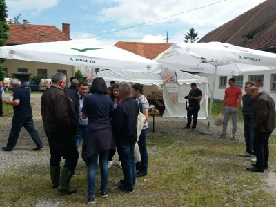 Dan polja uljane repice
