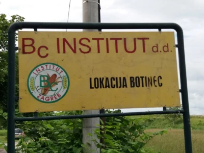 Dan polja uljane repice