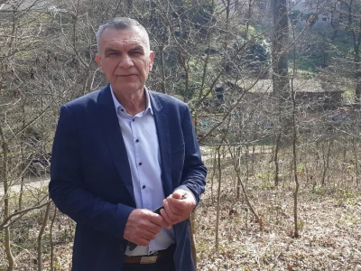 Dan šuma