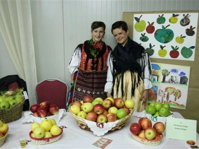 Snaše i jabuke