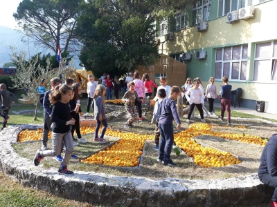 Dani mandarina