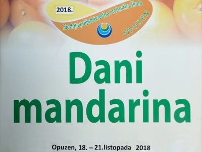 Dani mandarina