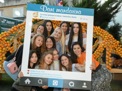 Dani mandarina