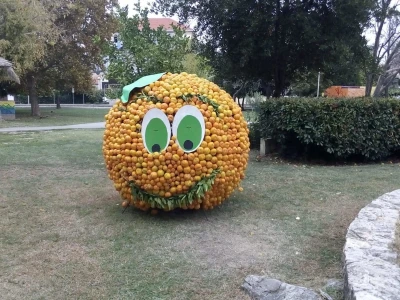 Dani mandarina