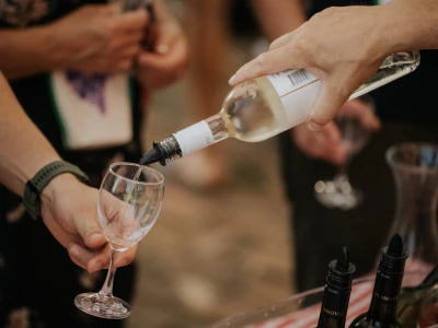 Dani otvorenih vinskih podruma Đakovačkog vinogorja