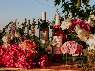 Dani otvorenih vinskih podruma Đakovačkog vinogorja