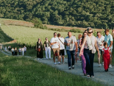 Dani otvorenih vinskih podruma Đakovačkog vinogorja