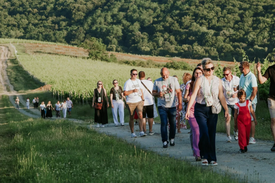 Đakovačko vinogorje