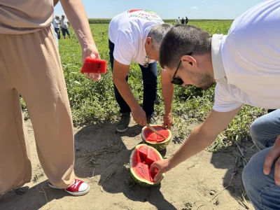 Dani polja lubenica u Soljanima