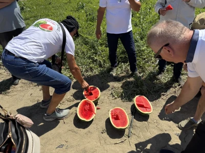 Dani polja lubenica u Soljanima