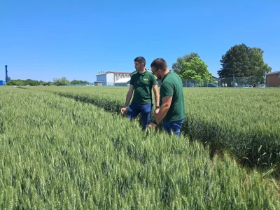 Dani polja pšenice i ječma na Poljoprivrednom institutu Osijek