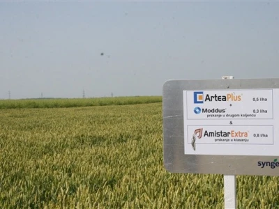 Syngentini centralni Dani polja