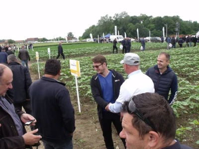 Dani polja Syngente 2019