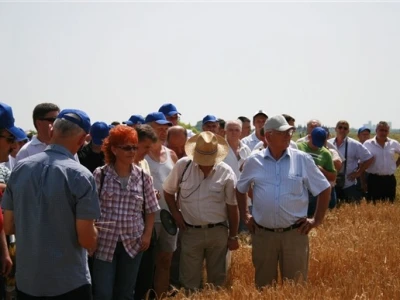 Dani polja Syngenta