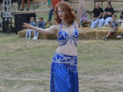 Dani vitezova vranskih 2015.