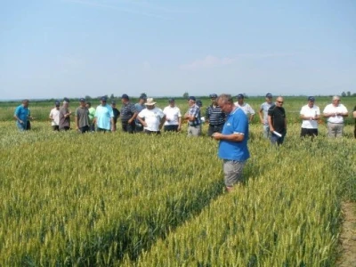Syngenta zaradionica