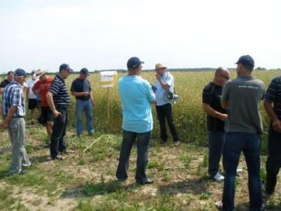Syngenta zaradionica
