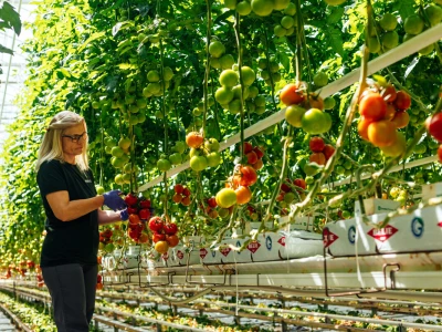 Davor Doko, razgovor s čelnikom Podravke Agri
