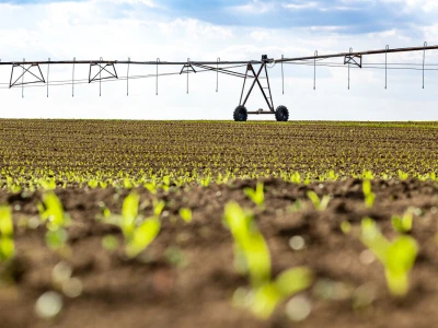 Davor Doko, razgovor s čelnikom Podravke Agri