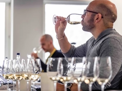 Decanter 2020