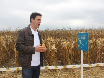 Slaven Suk, Monsanto