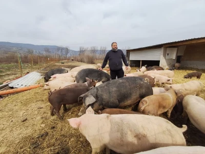 Dekorirana farma u Prološcu