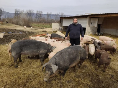Dekorirana farma u Prološcu
