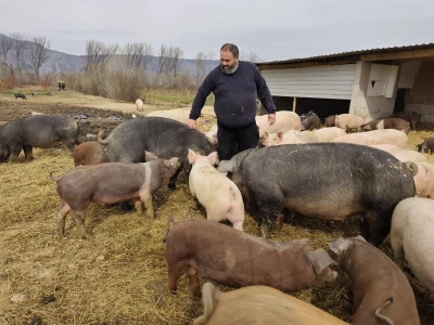 Dekorirana farma u Prološcu