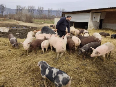 Dekorirana farma u Prološcu