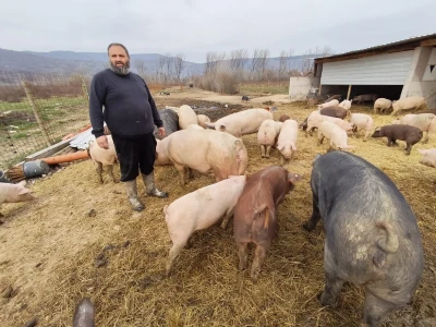 Dekorirana farma u Prološcu