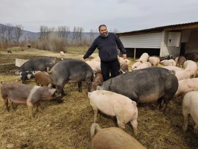 Dekorirana farma u Prološcu