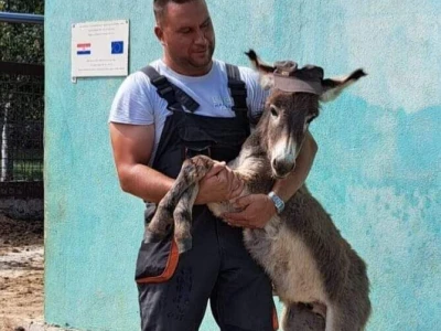 Destilerija i sušara u Gornjim Maovicama