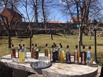 Destilerija i sušara u Gornjim Maovicama
