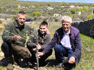 Did Mirko, sin Branimir i unuk Vid oživili didovinu u Rodaljicama