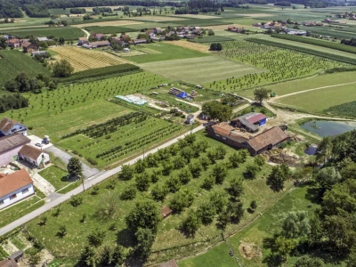OPG ANDRIČIĆ