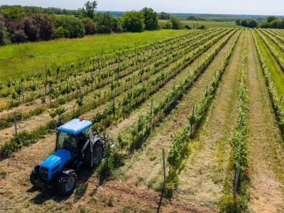 Mehaničko uništavanje korova u vinogradu