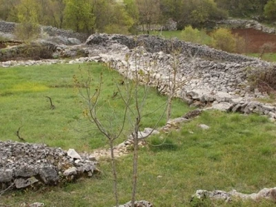Dolčići, škrape u zabiokovskom Slivnu, zagrljene čistim okolišem, posebice kamenom...