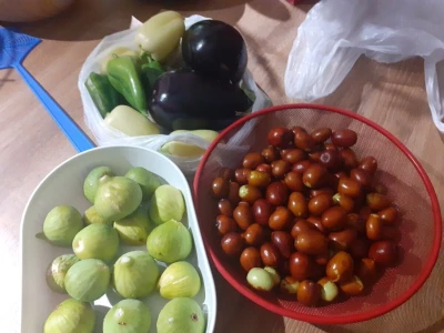 Doktorova likarija iz pibenskog Donjeg polja