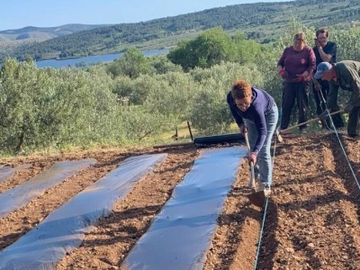 Doktorova likarija iz pibenskog Donjeg polja