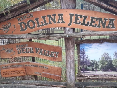 Dolina jelena