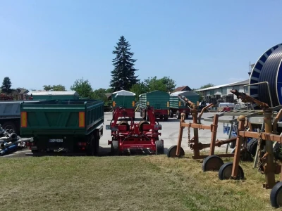 Dragutin Čižmak