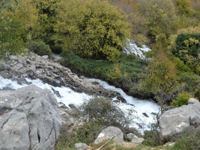 DRAMA NA VELEBITU - Ovčar Zore Gužvica među stijenama pronašao naklano janje koje je othranio na dudicu!