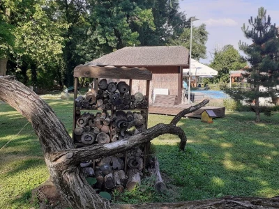 Dravska priča
